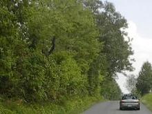 Cville7.jpg