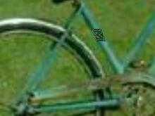 Mower Closeup