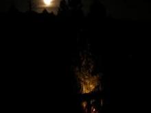 Lights of deck_tree_moon