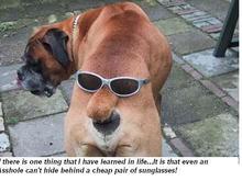 Sunglasses.jpg