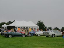 IMG_6713a.jpg