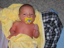 100_0075.JPG