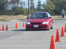 IMG_4844.jpg