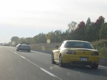 IMG_4916.jpg