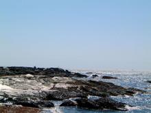 newport3.jpg