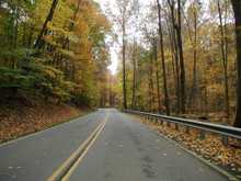 The Fall Colors