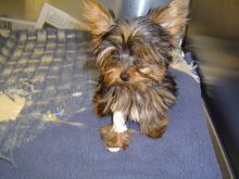chanel in hospital....table, light 006.jpg