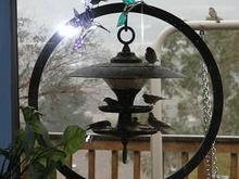 Jan. 11, 2005 birdfeeder
