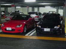 DSC07864.JPG