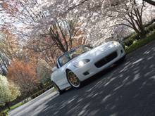 Spring 05'