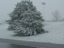DSC00110.JPG