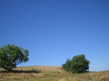 SacS2k4 008.jpg