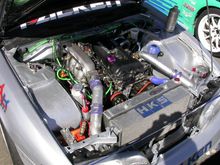 DSCN4306.JPG