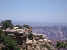 IMG_0766.JPG