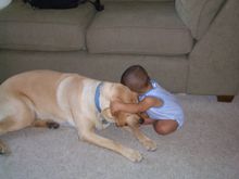 dog and babe