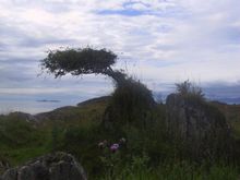 Par0056.JPG