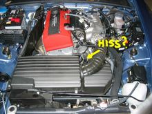 hiss.JPG