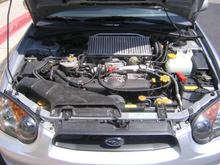 IMG_4285 (Medium).JPG