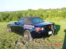 TIMS PICTURES 157.jpg