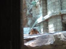 DSC00023 (Small).JPG