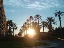 DSC00043 (Small).JPG