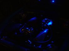 wanker lights 019.jpg