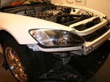 IMG_0261.JPG