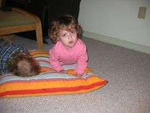 100_0005_2.JPG