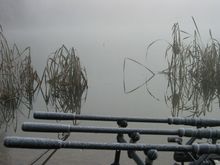 IMG_0029.jpg