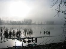 IMG_0022.jpg
