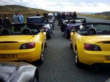 two yellow arses togever.JPG