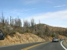 Img_3954rz45.jpg