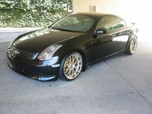 19" Gold Volks SF Winnings