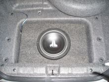 Trunk.JPG