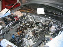 IMG_0663.jpg