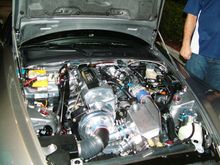 DSCF0848.JPG