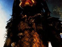predator.jpg