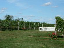 IMG_0636.JPG