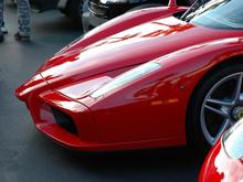 061014 Enzo nose 1792.JPG