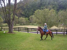 Owner on horseback