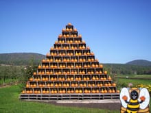 Pumpkin pyramid