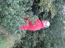 DSC01402.JPG