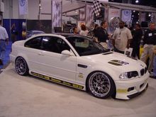 DSC02987.jpg
