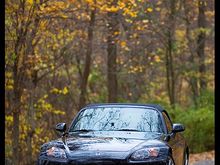 IMG_1006.jpg