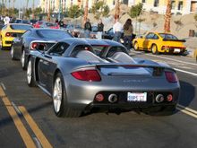 IMG_1957_cr.jpg