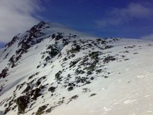 29012007071.jpg
