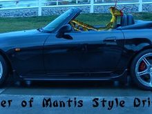 Mantis2.jpg