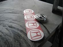 IMG_7906.JPG