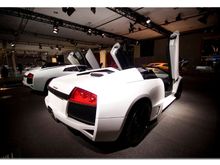 lambo5.jpg
