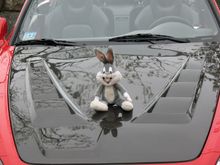 SF07 - bugs.jpg